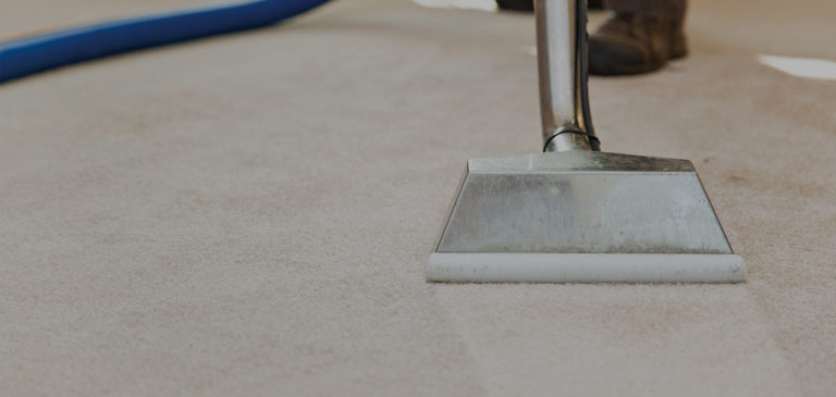 Carpet Cleaning Services SW6