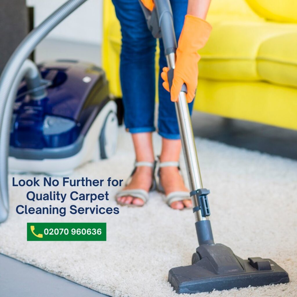 carpet cleaning services 