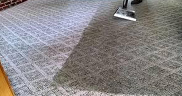 Carpet Cleaning Fulham