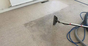 Carpet Cleaning Services Fulham