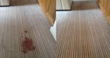Stain Removal & Protection Fulham